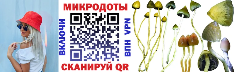 даркнет сайт  блэк спрут ONION  дарк нет официальный сайт  Ноябрьск  Галлюциногенные грибы Cubensis 