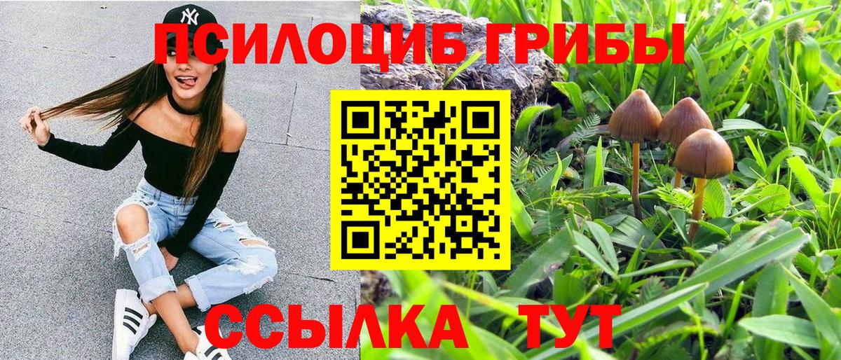 как найти закладки  Галлюциногенные грибы Psilocybe  Вход с VPN  Ноябрьск 
