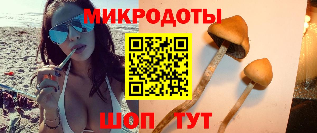 Галлюциногенные грибы мицелий Ноябрьск